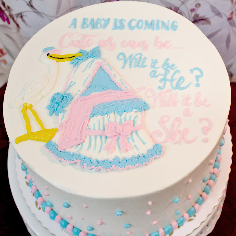 Stork and Bassinet Gender Reveal Cake