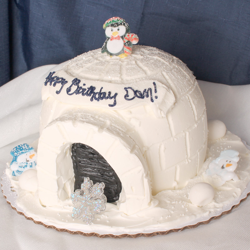 3D Igloo Cake