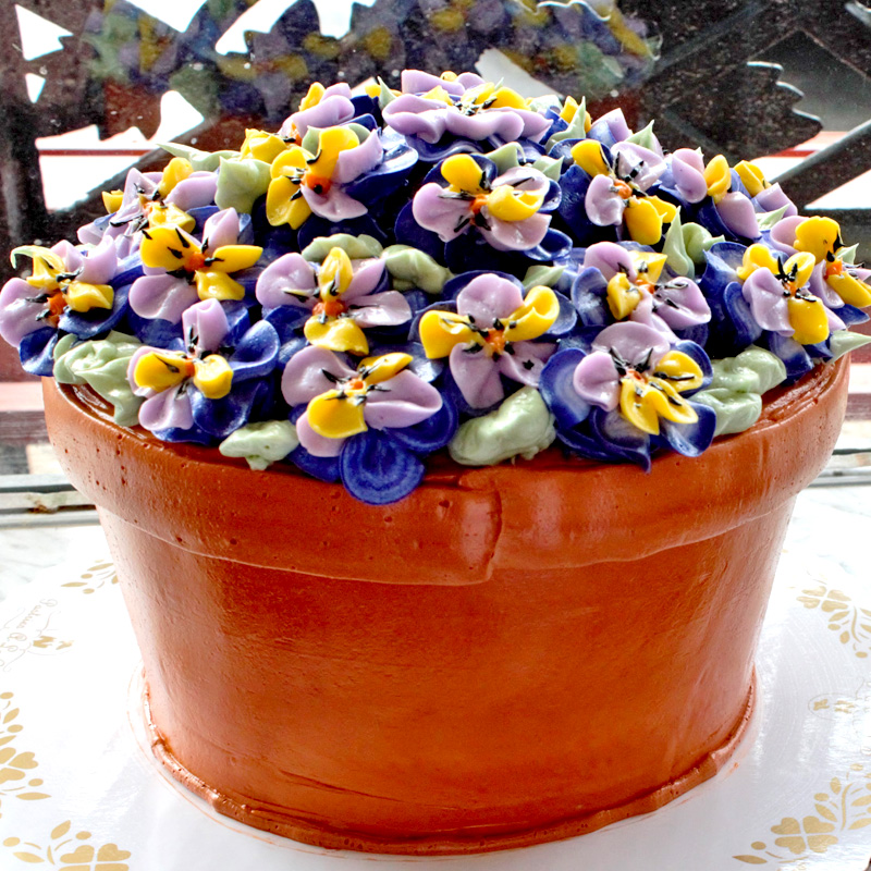 Potted Pansies Flower Pot Cake